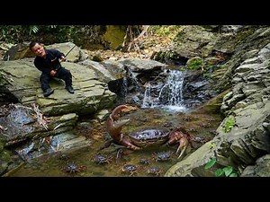 Dwarf Family Catches Crabs in the Stream in the Forest | Survival Life