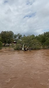 This morning in Alice, the Todd River has broken its banks. There's a traffic jam getting across the river from Eastside (yes, Alice has named suburbs) and the water is now lapping at the Imparja Building on South Terrace | Travel Outback Australia