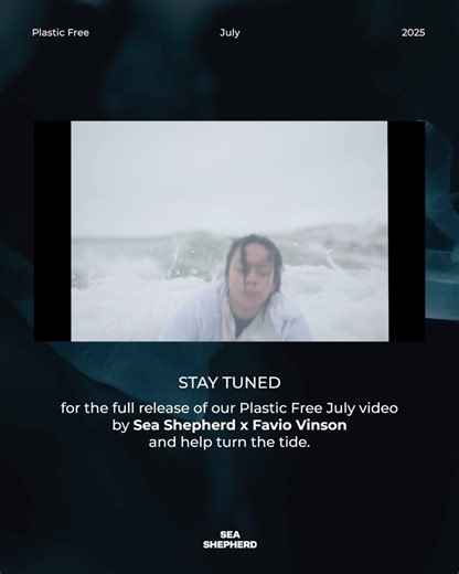 Sea Shepherd on Reels