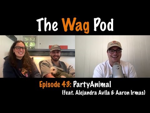 Episode 43: PartyAnimal (feat. Alejandra Avila & Aaron Irmas)