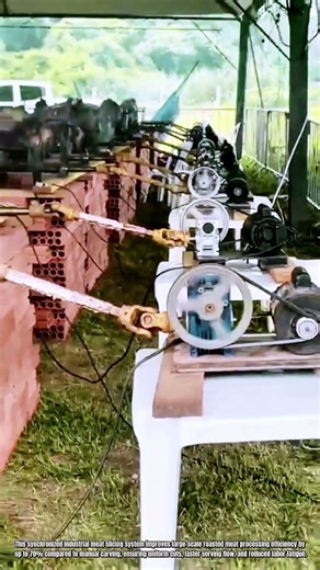Best Innovation Industrial Meat Slicing System: How to Cut Roasted Meat Uniformly