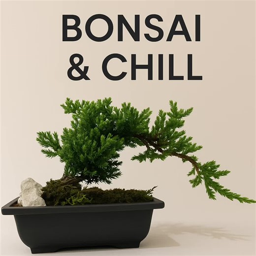 Bonsai & Chill? Yes please. The cutest date night in Chicago — tiny trees, big vibes. 🌿✨ #ChicagoDateNight #ChicagoThingsToDo #BonsaiClass #CreativeDateIdeas #ChicagoTikTok @Eventbrite @Groupon @pinterest @Google @google maps @Google Search