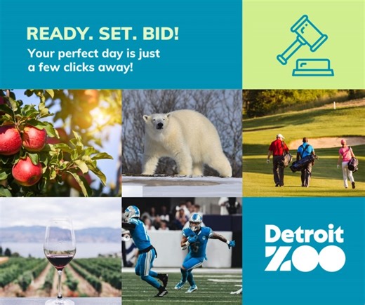 Bid high and often – this is your chance to win some fantastic prizes while supporting the DZS! Click to bid: https://bit.ly/4cnM1g5 Here are just a few of the "Zoonique" items up for grabs: 🍎 Blake’s Farm Experience for Four 🐻‍❄️ Polar Bear Enrichment Experience for Five 🏌️‍♀️ Tickets to the Rocket Mortgage Classic 🍇 Traverse City Wine Getaway 🦁 Tickets to a Detroit Lions game Everyone is welcome to take their chances on our silent auction. Join us for Sunset at the Zoo this Friday to see 