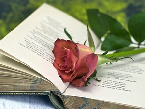 Norwalk Public Library Introduces 2025-27 Norwalk Poet Laureate
