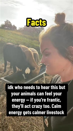 #creatorsearchinsights idk who needs to hear this but #farmwifelife #animalbehavior #petlovers #petsoftiktok