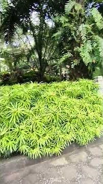WISATA MURAH - LEMBAH TUMPANG RESORT MALANG #wisata #wisatamalang #batumalangseru