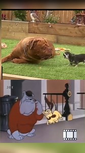 spike y chester en live action | Altamira el Gigante Dormido