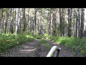 Тестирование CANON LEGRIA (VIXIA) M506 Test video