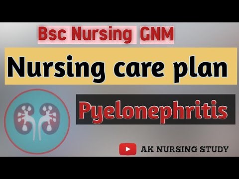 Pyelonephritis | Nursing care plan for Pyelonephritis| Case study on UTI | NCP #uti #ncp