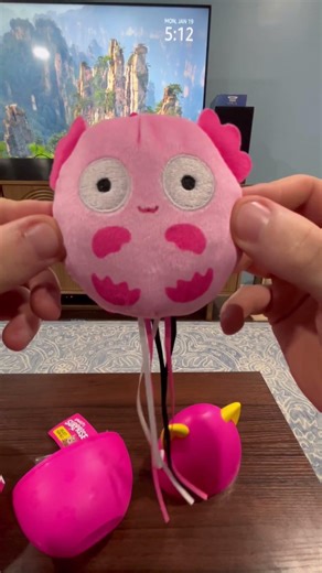 what are we gonna get today?!? #cat