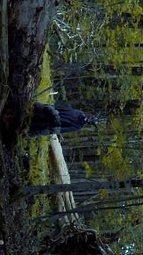 HOLLOWING Chapter One #anthologyseries #horrorfilm
