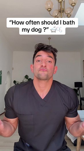 How Often Should You Bathe Your Dog? Best Practices Revealed