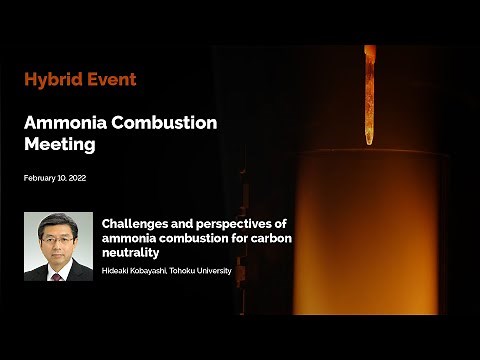 Challenges and perspectives of ammonia combustion for carbon neutrality