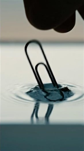 Surface Tension - How Is Metal Floating on Water? #experiment #physics #science