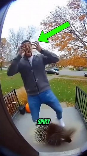 Top 4 Animals with BIZARRE Defense Mechanisms ⚡ | Nature’s Wildest Survival Tactics