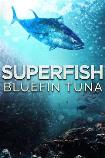 Superfish: Bluefin Tuna (2012) - Movie