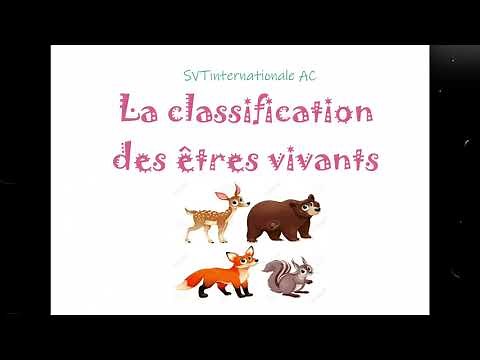 1AC - La classification des êtres vivants - Classification des animaux (Partie 2)