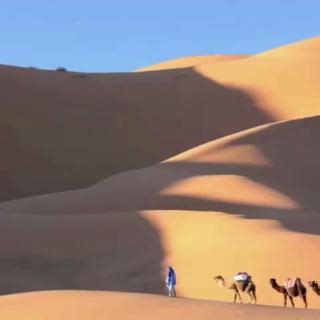 Camelids have accompanied humans for thousands of years. As of today, the global camel population is estimated at more than 42 million head! Learn more about them here: https://www.fao.org/camelids-2024/en #YearOfCamelids | Food and Agriculture Organization of the United Nations (FAO)