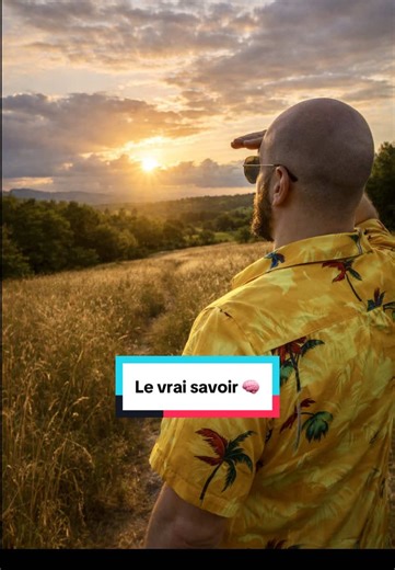 Le vrai savoir 🧠 ( qui croit réellement au soleil local ?? ) #debunk #theorie #soleil #distance #science