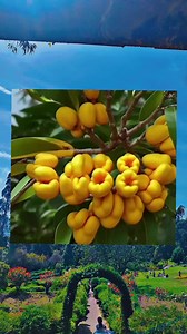 5 digit number?? #fblifestyle #fblifestylechallenge #fbchallengereels #FacebookChallenge | Chota Relaxation