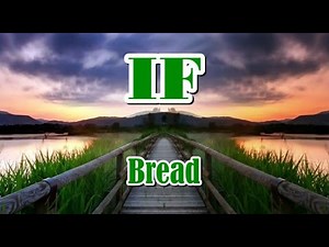 IF Bread (LYRIC VIDEO)