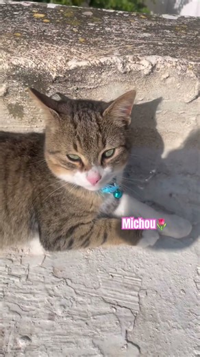 #music michou🌷🍬🍭