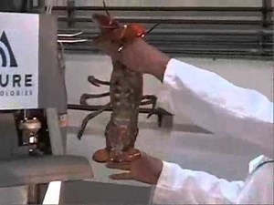 Avure High Pressure Processing HPP)