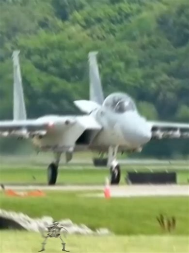 #avaition #aerobatics #militarytiktok #fyp #plane #f15 The F-15 Eagle is one of the most successful fighter jets ever built. Designed during the Cold War, its main purpose was air superiority—meaning it was built specifically to dominate enemy aircraft in the sky. It is famous for its extreme speed, maneuverability, powerful radar, and massive missile loadout. The aircraft was originally built by McDonnell Douglas (later merged into Boeing). 🛠️ Development History The F-15 was created after les