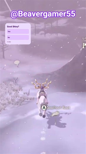 Finding a Shiny Pachirisu 5