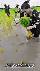 Farmers Creative Tool! Manual Rice Planting Tool Without Bending #AgriculturalInnovation