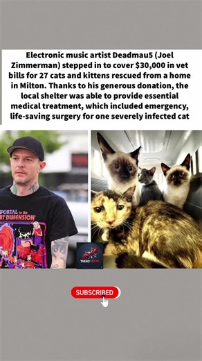 Deadmau5 Saves 27 Rescued Cats With One Incredible Donation 🐱❤️#shorts #deadmau5 #cats