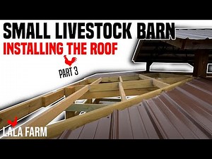 Small Livestock Barn Build - Installing the Roof
