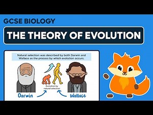 The Theory of Evolution by Natural Selection - GCSE Biology