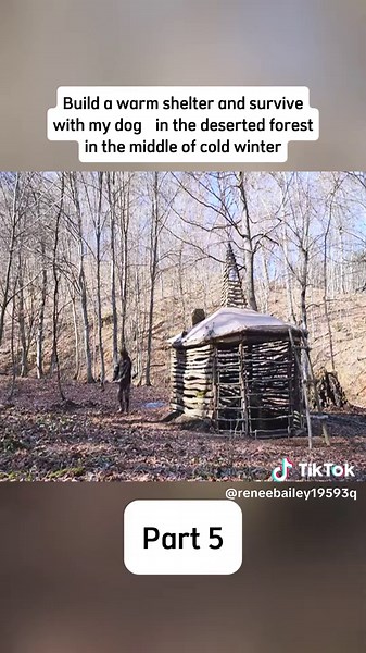 Essential Survival Tips for Solo Camping Enthusiasts