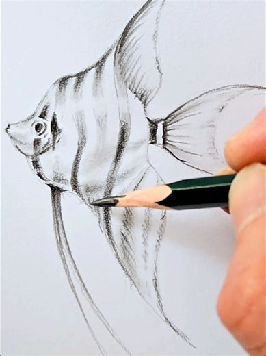 How to Draw a Realistic Fish: Step-by-Step Tutorial