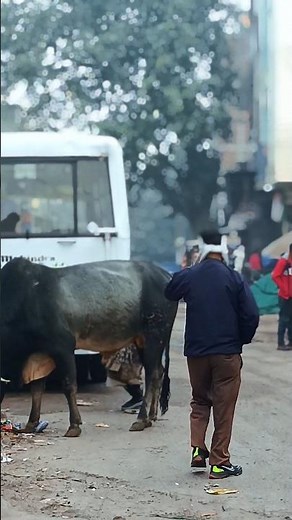 Amazing Delhi View- The Capital's Hidden Gems | #DelhiShorts #Shorts #minvlog