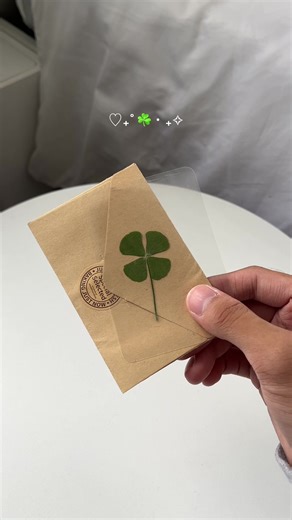 Discover the Magic of Four Leaf Clovers