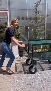 Being a gardener pays off, what can I say?! 🤷‍♀️ If you’re ready to turn your garden skills into a paycheck before this year is over, comment COACH to learn more about our Garden Consultant Certification. I’ll show you how to take what you already know and love about gardening and turn it into a thriving side hustle or even a full-time career. Imagine getting paid to coach others in the garden. Yep, it’s possible. 🙌 Comment COACH to start your journey today and get ready for lots more Target t