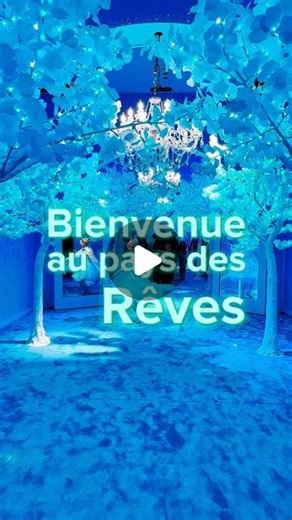 YAKOA Paris on Instagram: "Aujourd’hui, je vous emmène rue de Rivoli au Carrousel du Louvre . C’est ici derrière la pyramide inversée que se cache la porte d’un monde féérique dénommé « House of dreamers ». Montez à bord du train pour le pays de rêve afin d’être transporté dans un univers magique créée par deux soeurs designers italiennes Elena et Giulia Sella. Après avoir enchanté Milan, Madrid et Rome, cette aventure arrive enfin dans la capitale. « House of Dreamers » propose aux visiteurs de