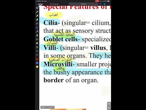 التشريح العملي الانسجة 🔋🙏🏻