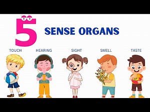 5 Sense Organs for Kids | Sense Organs eyes ears nose tongue skin, sensory learning| #nurseryrhymes