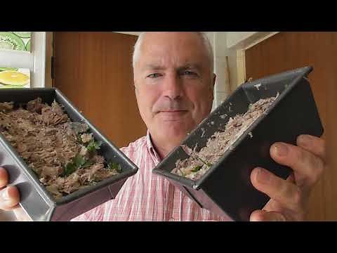 Historic cooking: making brawn