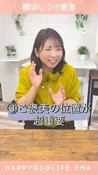 [Dog Toilet] Don't carry your dog to the toilet! Dog Training Emma Channel [Dog Training @ Yokoha...