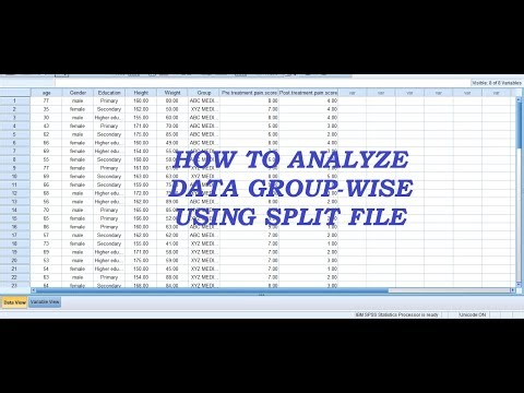 How to Compare Groups in SPSS (Using Split File)