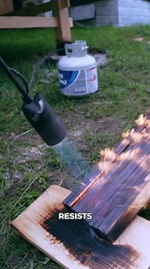 655K views · 10K reactions | In Japan, Yakisugi turns ordinary wood into a fire-resistant, insect-proof, rot-resistant building material—with stunning black finish to match. #Yakisugi #ShouSugiBan #JapaneseCraftsmanship #SustainableDesign #BurntWood #Architecture | Facts Wiki | Facebook