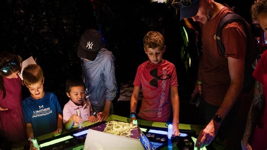 Bring the family to Bug Fest at WFAA's Family First Day at the Perot Museum of Nature and Science