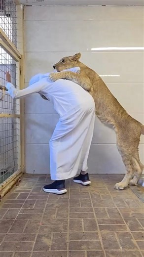 Dubai Ke Sheikh Ki 3 Buri Aadte #dubai #facts #luxary #rich #ultrarichlife #richlife