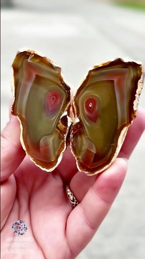 Is it a Butterfly— or is it a Rock? : Gorgeous Sumatra Agate (Indonesia)