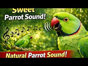 Natural Parrot Sounds | Relaxing Bird Sounds for Stress Relief, Sleep & Focus (4K Nature Audio)