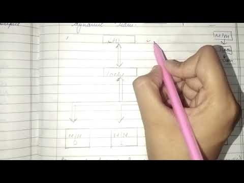 What is Memory Interleaving Technique 👈 |Explanation with Diagram | COA |